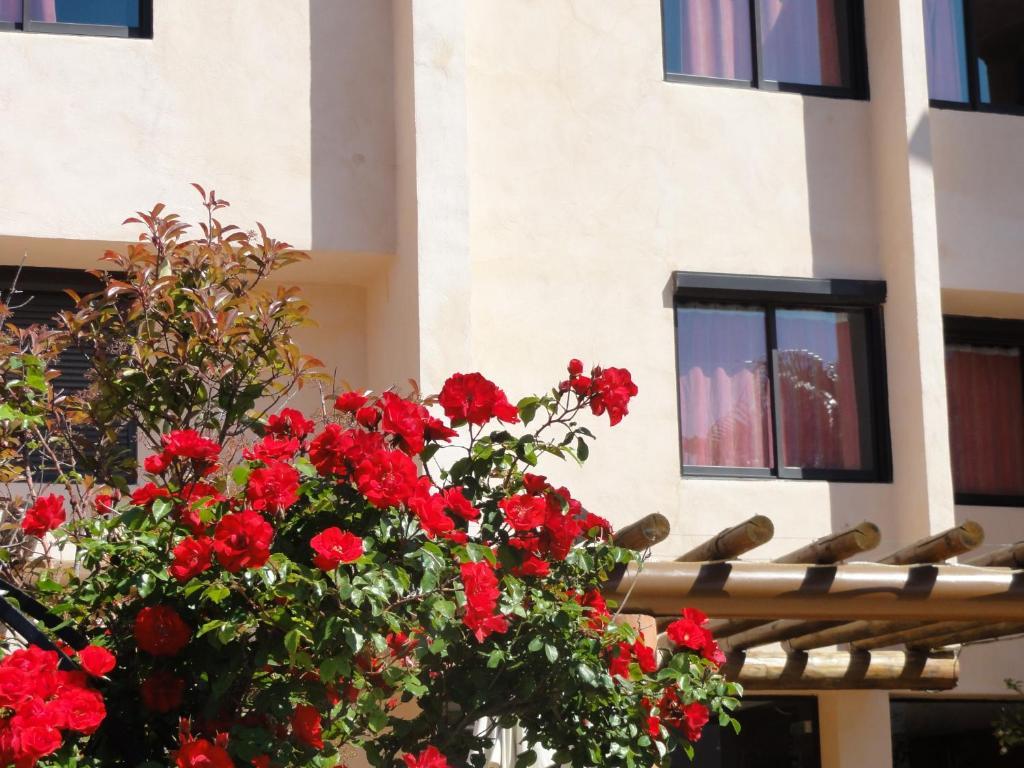 Hotel L'Hacienda Martigues Exterior photo